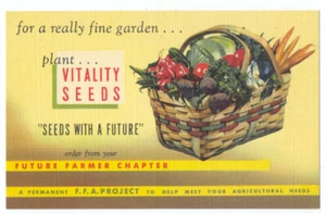 VITALITY SEEDS 1949 Linen AD Postcard - VEGETABLES In BASKET Ann Arbor MI - Picture 1 of 2
