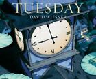 Tuesday by David Wiesner 9781849394475 NEW Free UK Delivery