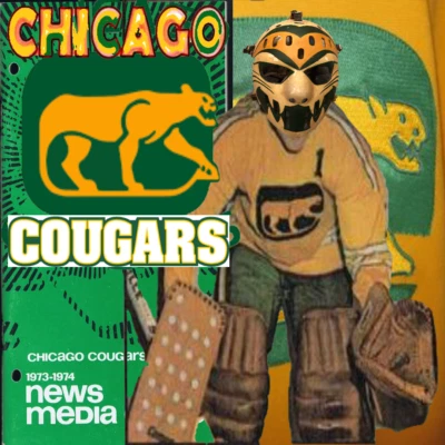 Chicago Cougars Media Guide 1973-1974 + Bonus 1977-78 Chicago Black Hawks Media Foto 1 de 4