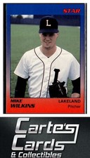 Mike Wilkins 1989 Star Lakeland Tigers #24  Detroit Tigers