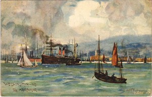 PC NEW ZEALAND, WELLINTON, THE HARBOUR, Vintage Postcard (B41586)