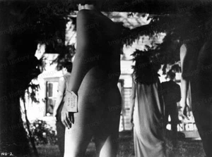 Impresión 8x10 Cult Classic Night of the Living Dead 1968 #NOLD - Imagen 1 de 1