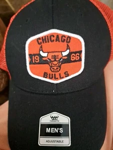 Fan Favorites CHICAGO 1966 BULLS Hat - Picture 1 of 2