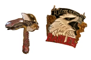 Harley Anstecknadeln Pinbacks emailliert glänzend Paar GRATIS zum Fliegen - Bild 1 von 4