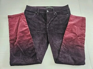 HUDSON Nico Midrise Skinny Purple Ombre Velvet Cropped Ankle Pants Sz 30 Stretch - Picture 1 of 9