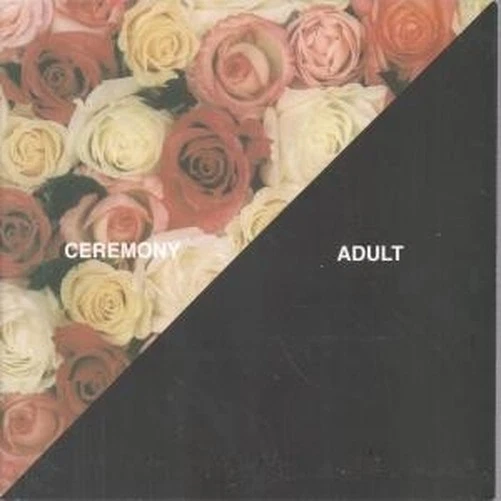 Ceremony Adult 7" Vinyl USA Matador 2012 B/S Start Over Pic Sleeve OLE9897 - Bild 1 von 1