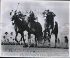 1950 photo de presse course de parc tropical en Floride Shaffie vs Cracker Jack
