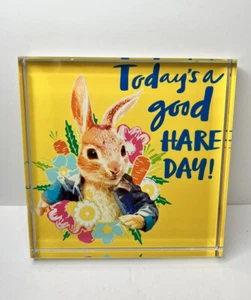 DanDee Peter Rabbit Todays a Good Hare Day Tischdeko Glas 5" x 5" Ostern - Bild 1 von 5