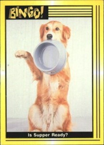 A4764- 1991 Bingo the Dog Collector Card #s 1-110 -You Pick- 10+ FREE US SHIP