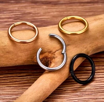 Titanium Piercing Segment Ring Clicker Septum Helix Conch Ohr Nase Universal - Bild 1 von 4