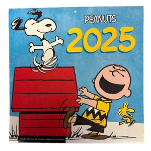 PEANUTS CHARLIE BROWN 2025 12” X 24” 16 Month Wall Calendar - Picture 1 of 2