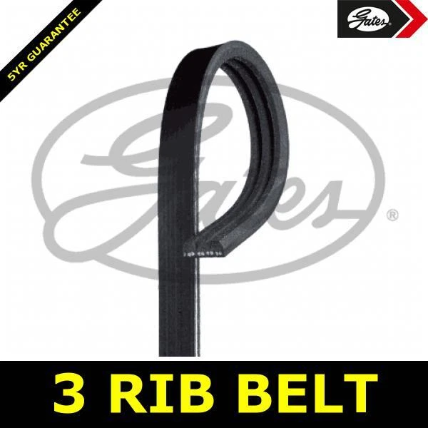 Cinto de bomba de água com nervuras para Cadillac Seville 97->04 4.6 sedã gasolina L37 LH2 - Imagem 1 de 2