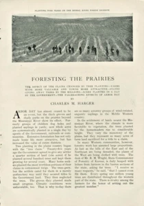 1905 Forestry Forestation Nebraska Kansas Tree Planting Pariaries Reasearch Old - Picture 1 of 3