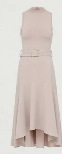 Ted Baker Midi Kleid mit Dip Saum geriffelt Rock - rosa Größe 2 UK 10 - Bild 1 von 6