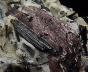 MURMANITE & AEGIRINE & LW fluorescent SODALITE --- Russia KOLA Lovozero /pl043 - Picture 1 of 19