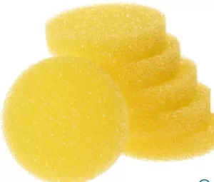 Esponja exfoliante Earth Brite - Paquete de 6 - Imagen 1 de 2