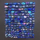 Rainbow Aura Natural Lapis Lazuli Crystal Chips Gravel Healing Decorate 170Pcs