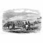 Crimean War Carrying The Wounded To Balaklava - Antique Print 1855