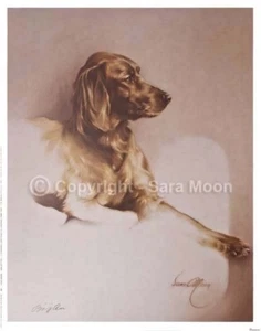 SARA MOON "Red Setter" 16"x20" persönlich signierter Original Archivdruck - Bild 1 von 3