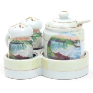 Vintage NIAGRA FALLS Condiment Set Salt and Pepper Shakers OCCUPIED JAPAN - Picture 1 of 16