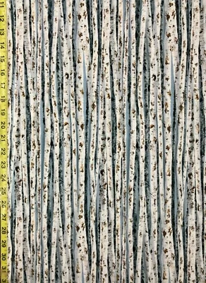 Текстура дерева березы вечные сокровища дерево - Изображение 1 из 2