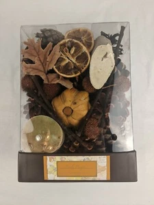 Darsee & David Highly Fragranced Potpourri Purely Pumpkin Scent Bowl/Vase Filler - Picture 1 of 4