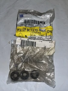 Lot of 10 Genuine GM Exhaust Muffler Tailpipe Nut 15709703 - Picture 1 of 2