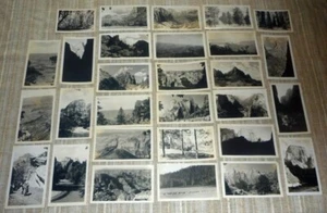 Zion National Park (29) 1930s B&W Snapshots - Deer, Canyons, Monoliths + - Picture 1 of 1