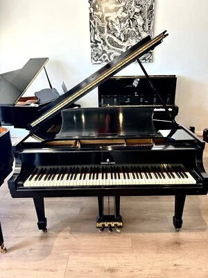 Piano de cola Steinway M 5'7" ébano satinado Foto 1 de 4