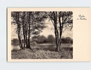 Postcard Büchen im Frühling Germany - Picture 1 of 2