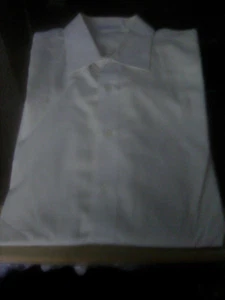 "BERNINI" RENOWN ! MEN'S 100%COTTON BEIGE DRESS SHIRT MADE IN ITALY  - Picture 1 of 9