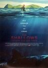 The Shallows - Gefahr aus der Tiefe - Blake Lively - Filmposter 37x53cm gerollt