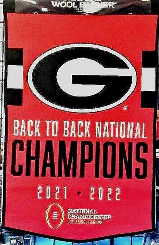 Georgia Bulldogs Back-to-Back 2021 2022 National Champions Wool Banner Fanatics Cover