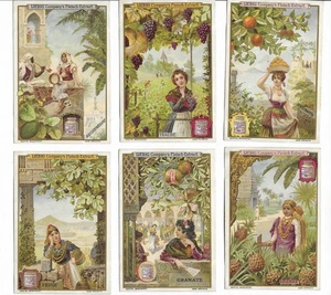 Liebig Serie "Früchte und Schönheiten II " -S 630 - um 1900 (A59) - Bild 1 von 2