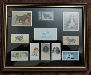 Cigarette Cards King Charles Spaniel Framed 11. Players,Wills's,Turf,Ogdens - Picture 1 of 9