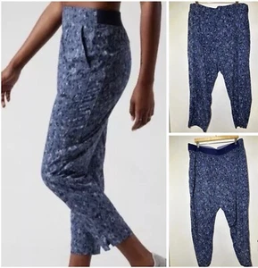 Athleta Brooklyn Ankle Pants Chrome Blue Women’s Pull-on Size Plus 22 - Picture 1 of 8