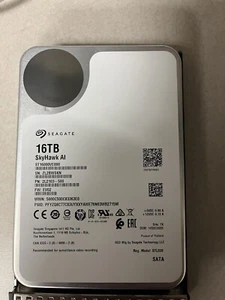 Seagate Skyhawk AI 16TB STI6000VE000 - Afbeelding 1 van 1
