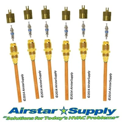 1/4" M. Access Fitting with 1/4" Copper Tube C&D Valve CD3604 Pack of (6)