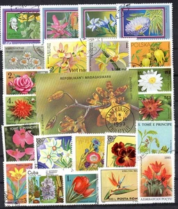 FIORI BELLISSIMA COLLEZIONE DI OLTRE 300 FRANCOBOLLI DI FIORI DIVERSI - Foto 1 di 2