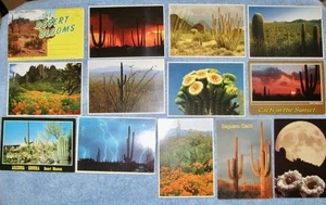 Lotto di 12 cartoline "PIANTE di ARIZONA" INUTILIZZATE + una cartella ricordo; cactus e - Foto 1 di 24