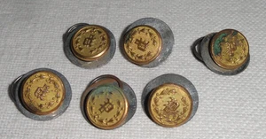 6 Vintage Knöpfe ~ Polizei Mantel/Uniform ~ 1/2" ~ "P" mit Kranz ~ Smith Gray Co - Bild 1 von 4