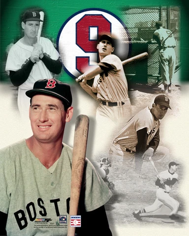 TED WILLIAMS Boston Red Sox #9 FOREVER Premium 20x24 MLB POSTER Print Cover