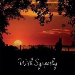 IN SYMPATHY CARD FOR LOSING A HORSE OR PONY *FREE POSTAGE* - Picture 1 of 2