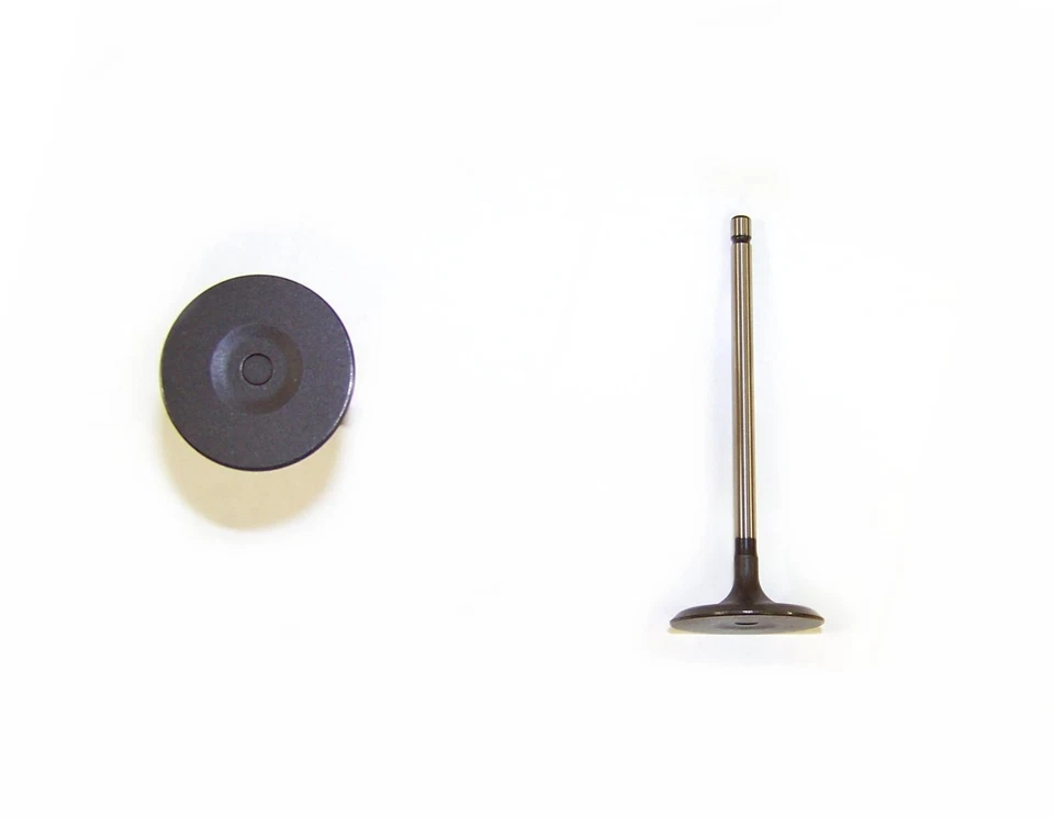 2005-2020 ПОДХОДИТ ДЛЯ LEXUS TOYOTA TUNDRA CAMRY 3.5 4.0 DOHC V6 ВПУСКНЫЕ КЛАПАНЫ 12 КАЖДЫЙ - Изображение 1 из 1