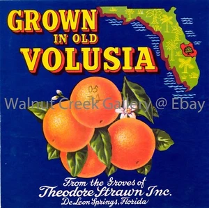 Florida Fruit Crate Label Fine Art Print, Orange , approx 10.8"x 10.8" 12812 - Picture 1 of 1