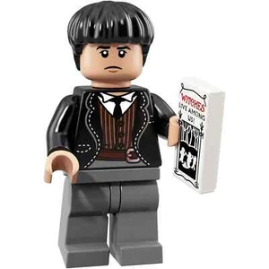 Credence Barebone - Lego Harry Potter and Fantastic Beasts - 71022 - Picture 1 of 2