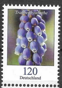 2019 Deutschland Mi. 3447**MNH   Blumen:  Traubenhyazinthe (Muscari sp.) - Bild 1 von 1