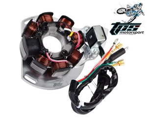 MAGNETO GENERATOR STATOR COIL ALTERNATOR FITS: GASGAS EC 125 2003 - 2004 - Picture 1 of 2