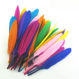 100pcs Droit Oie Plume Artisanat Bricolage Chapeau Performance Costume Matériel - Photo 1 sur 18