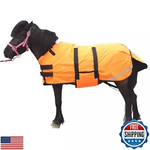 Gallopoff Foal/Mini Horse Size 30"-48" Waterproof and Breathable 300 Denier W - Picture 1 of 5